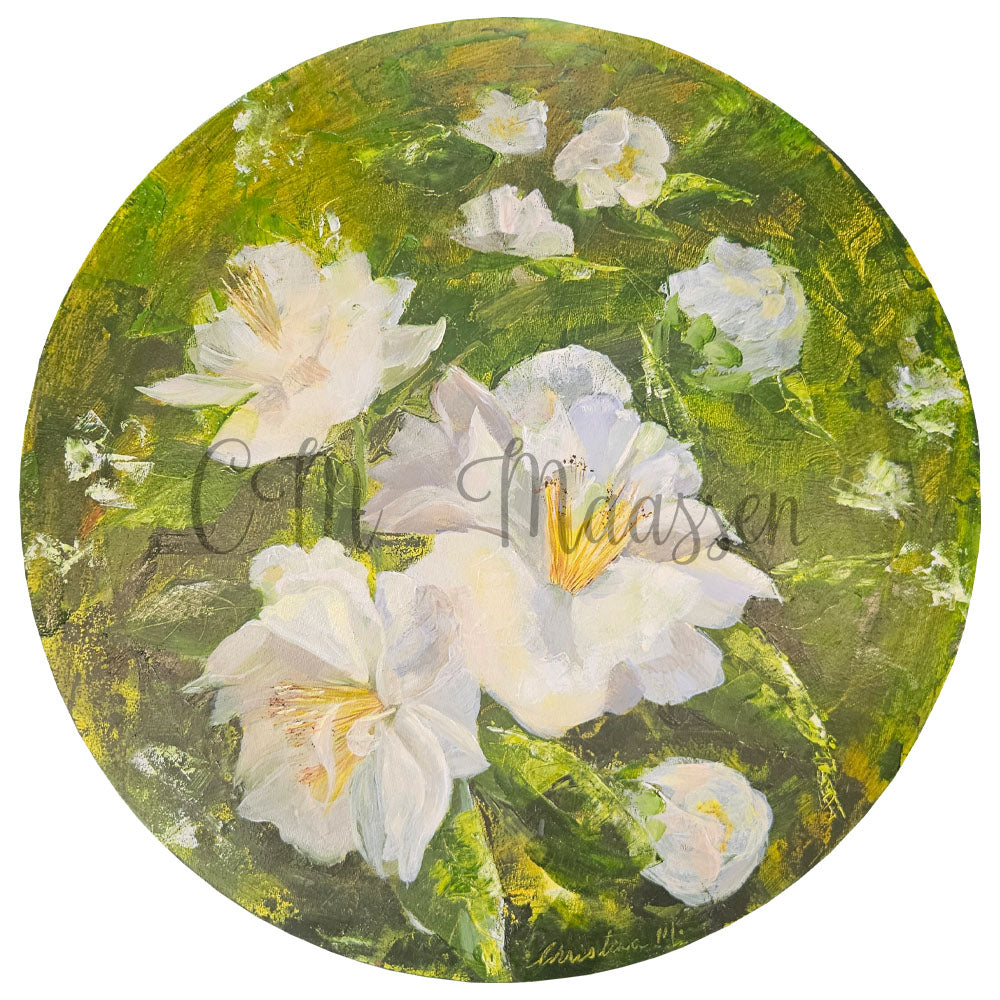 Artistic depiction of white flowers with green leaves on a circular background, signed 'C. Maassen'.