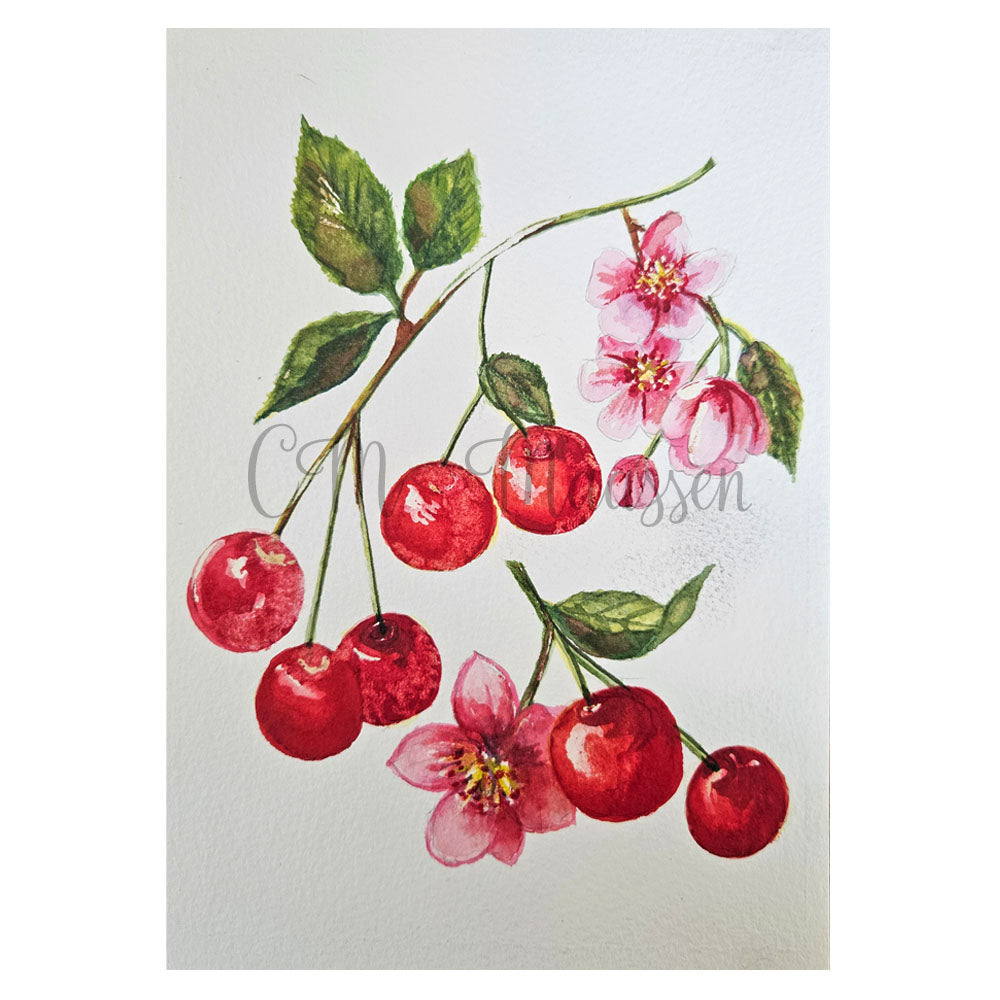 Illustration of cherries and flowers on a white background