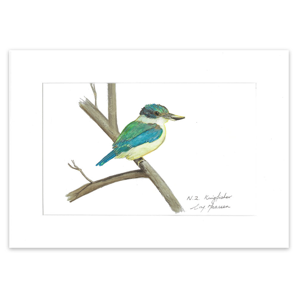 Kingfisher bird colour pencil drawing