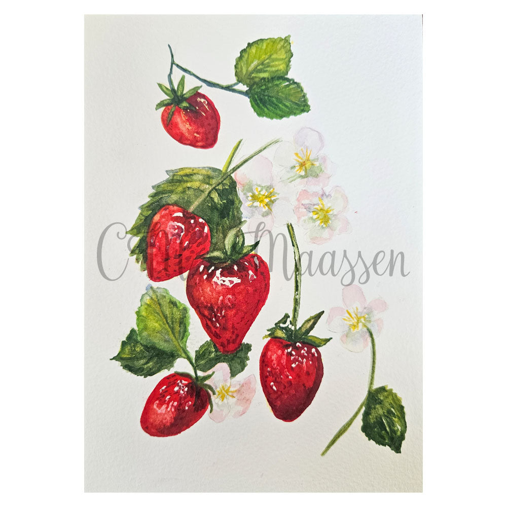 Illustration of strawberries with green leaves and flowers on a light background, signed 'Christina Maassen'.