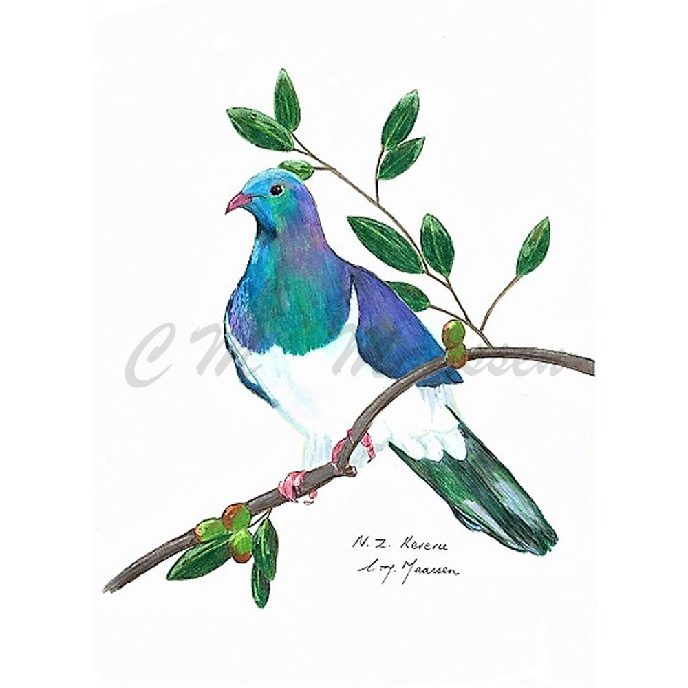 Keruru Print by Christina Maassen
