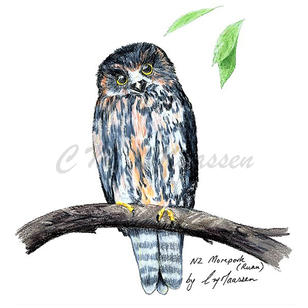 Morepork Print by Christina Maassen