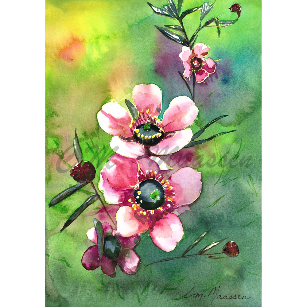 Pink Manuka Print by Christina Maassen