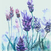 Lavender Scarf by Christina Maassen 