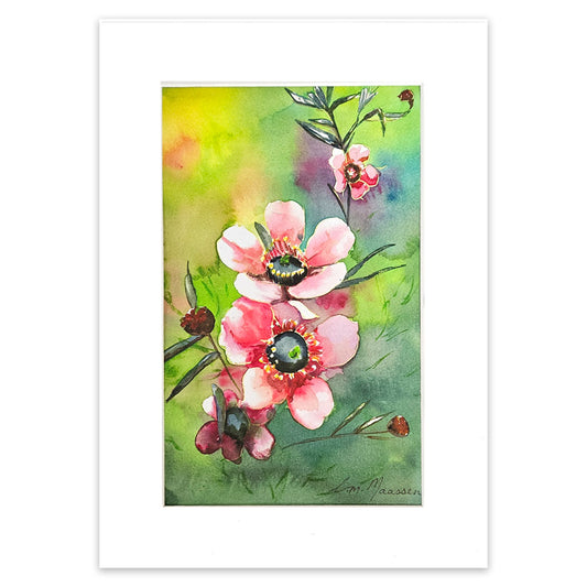 Pink Manuka flower painting