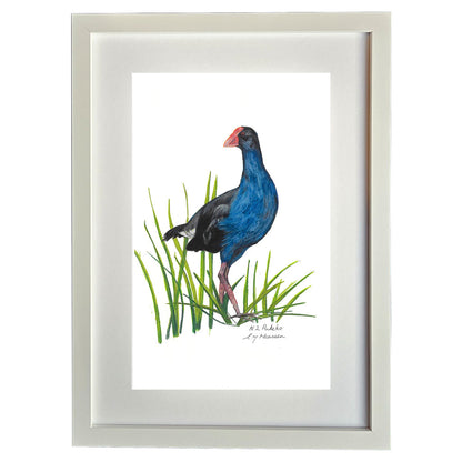 Pukeko Print A3