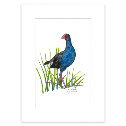 Pukeko Print A3