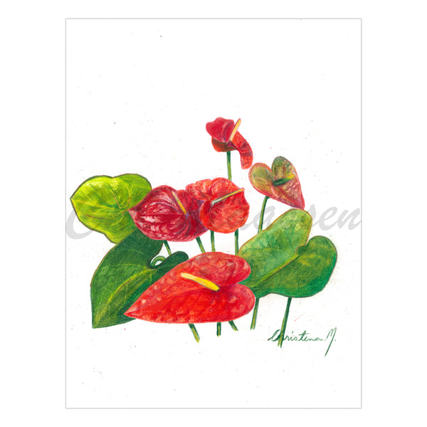 New Zealand Inspired floral greetings cards