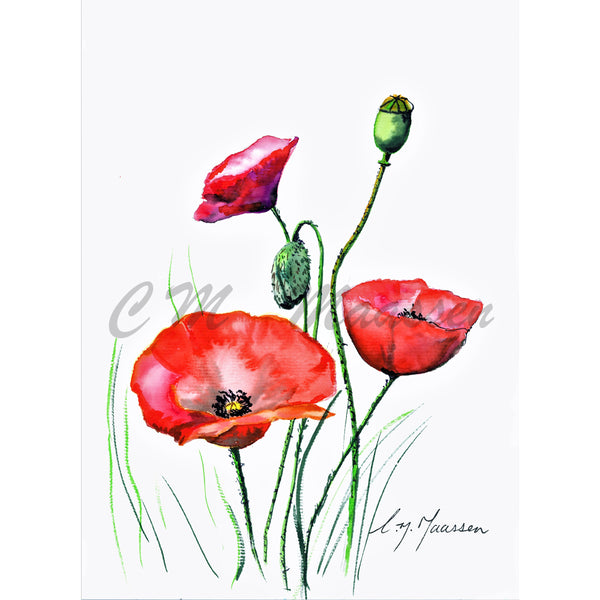 Anzac Poppies Card by Christina Maassen 