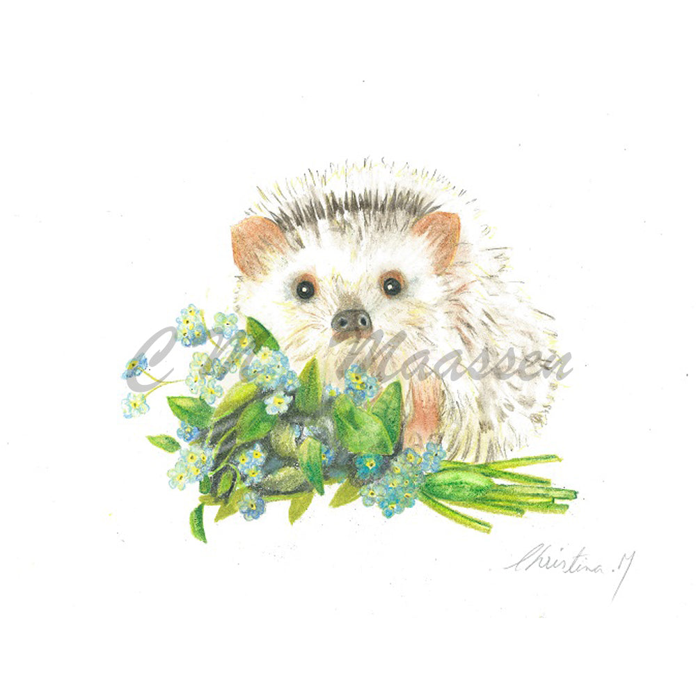 Baby Hedgehog & Forget Me Nots Cards by Christina Maassen 