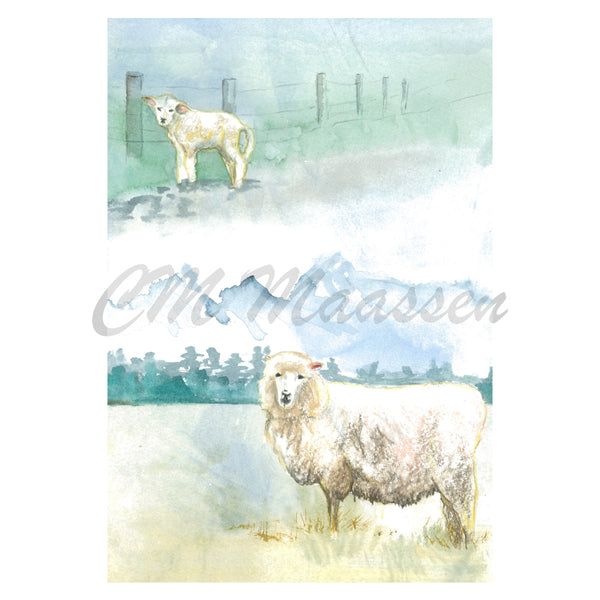 New Zealand Sheep Greetings Card