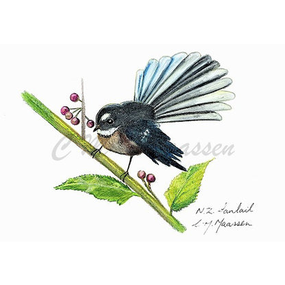 Fantail Print by Christina Maassen