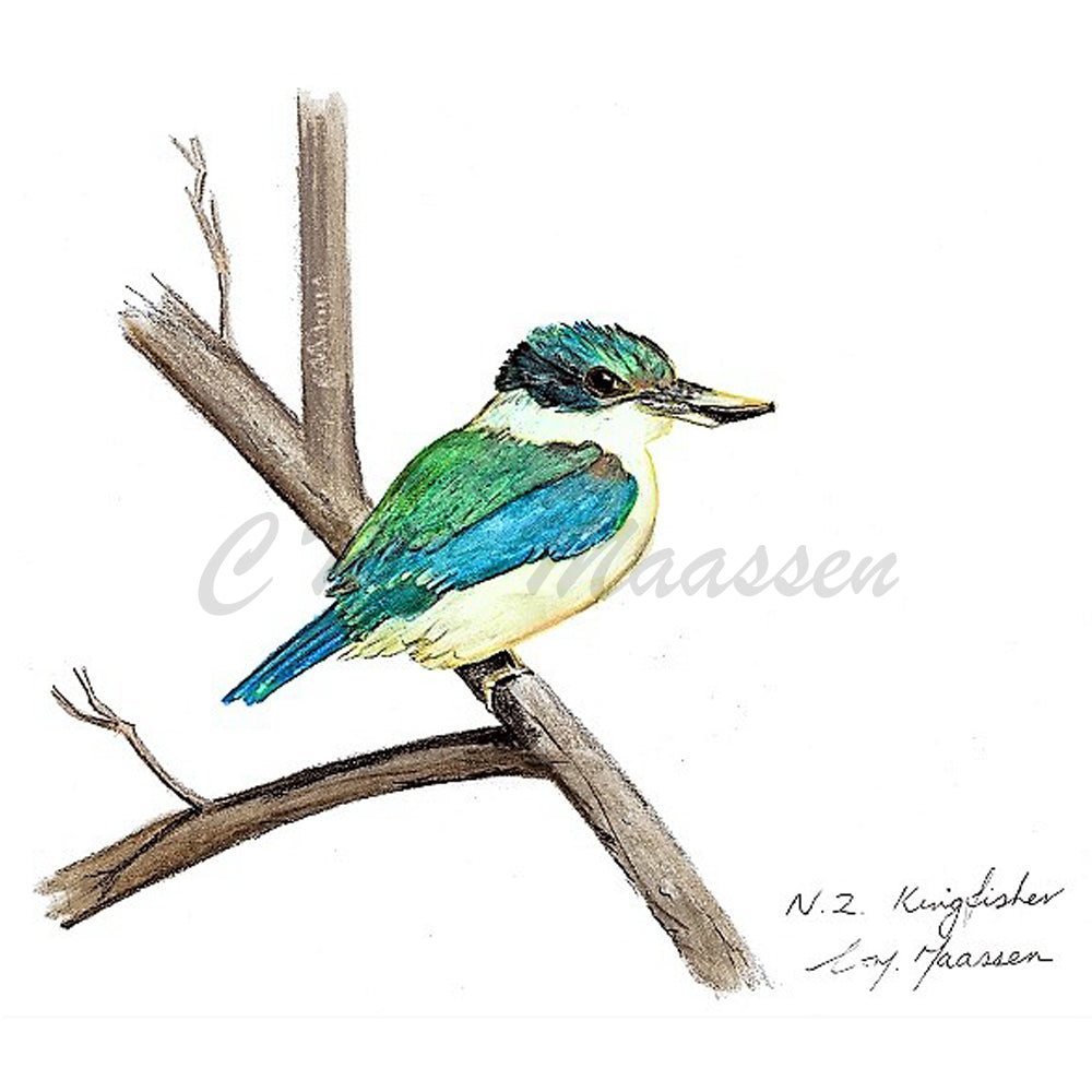 Kingfisher Print by Christina Maassen