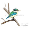 Kingfisher Print by Christina Maassen