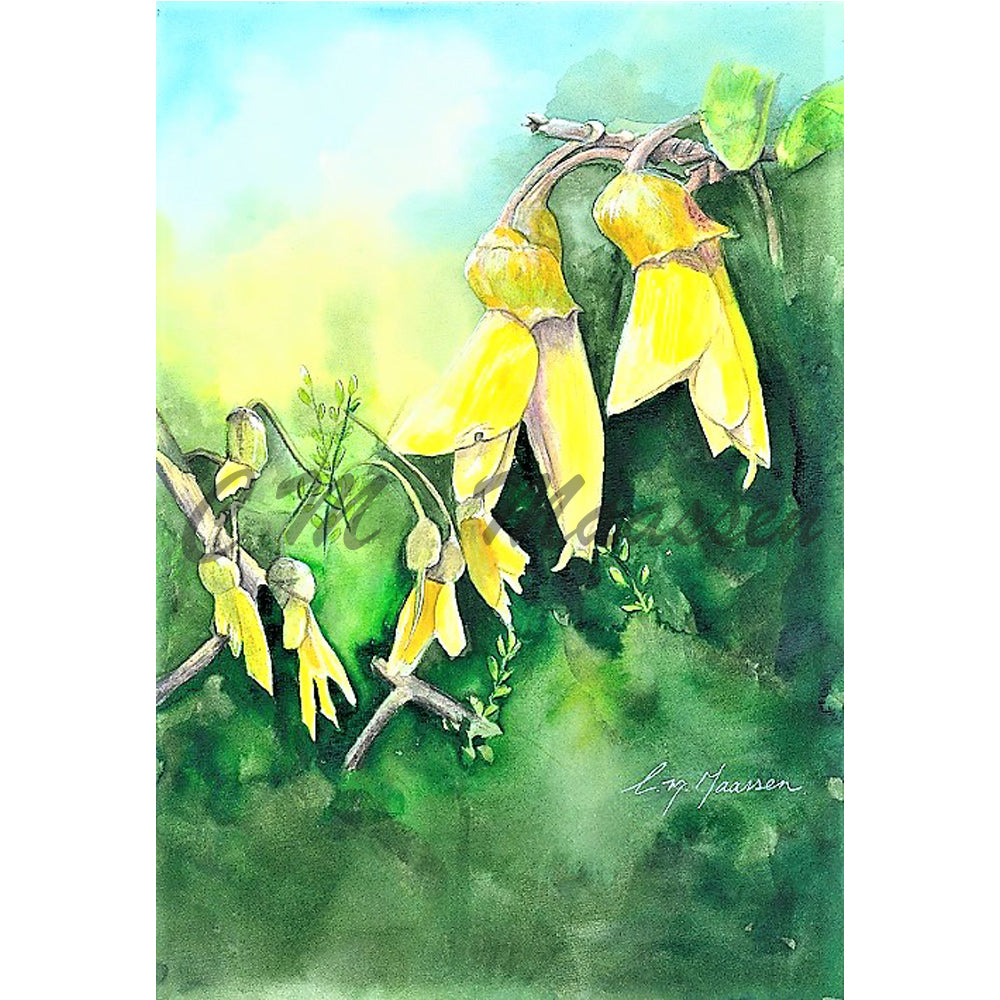 Kowhai Print by Christina Maassen 