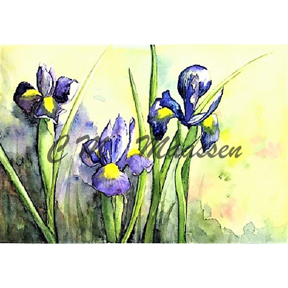 Iris Wholesale Card by Christina Maassen 