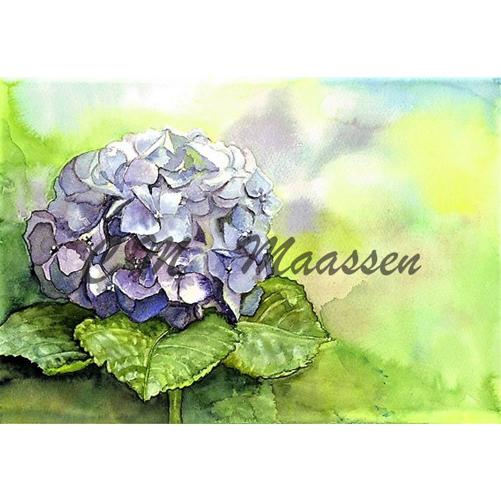 Hydrangea Card by Christina Maassen 