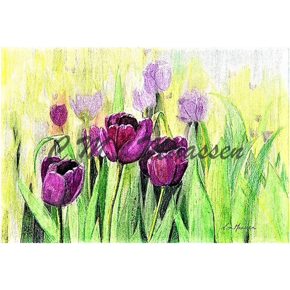 Magenta Tulips Cards by Christina Maassen 
