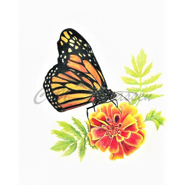 Monarch Cards by Christina Maassen 