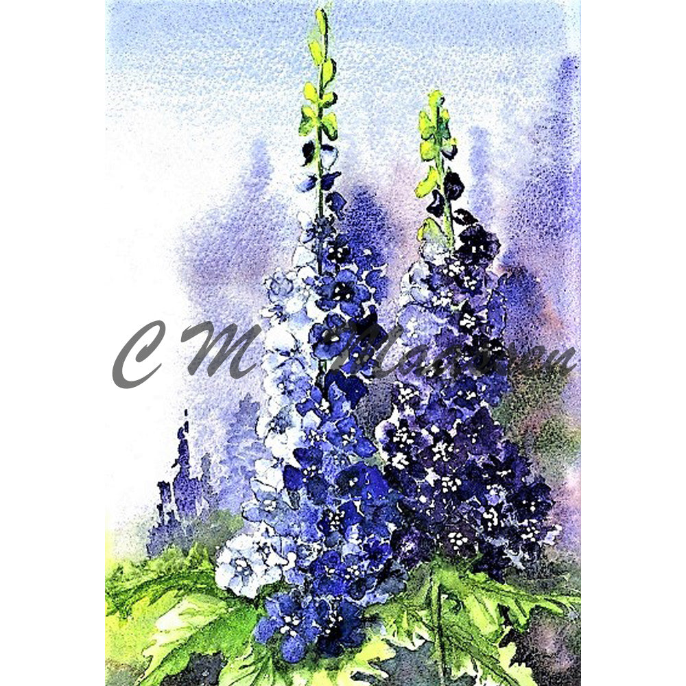 Delphiniums Cards by Christina Maassen 