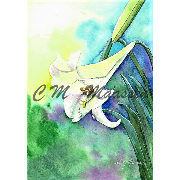 White Lilly Cards by Christina Maassen 