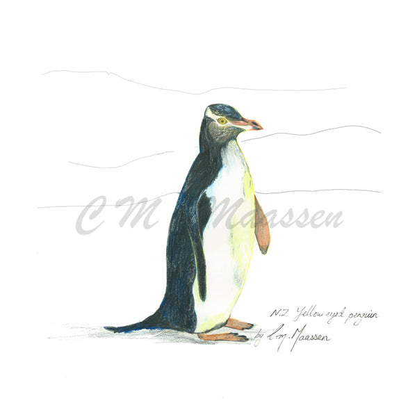 Yellow Eyed Penguin Print by Christina Maassen 