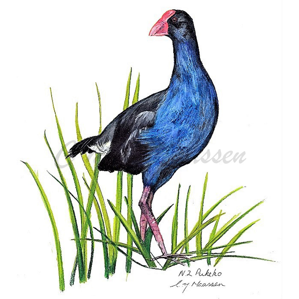  Pukeko Print by Christina Maassen 