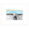 Seagull Mounted Print