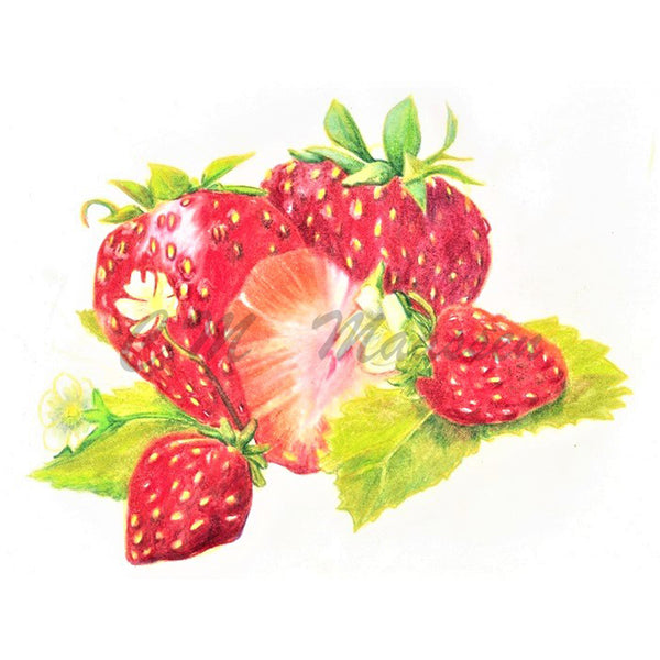Strawberries Cards by Christina Maassen 