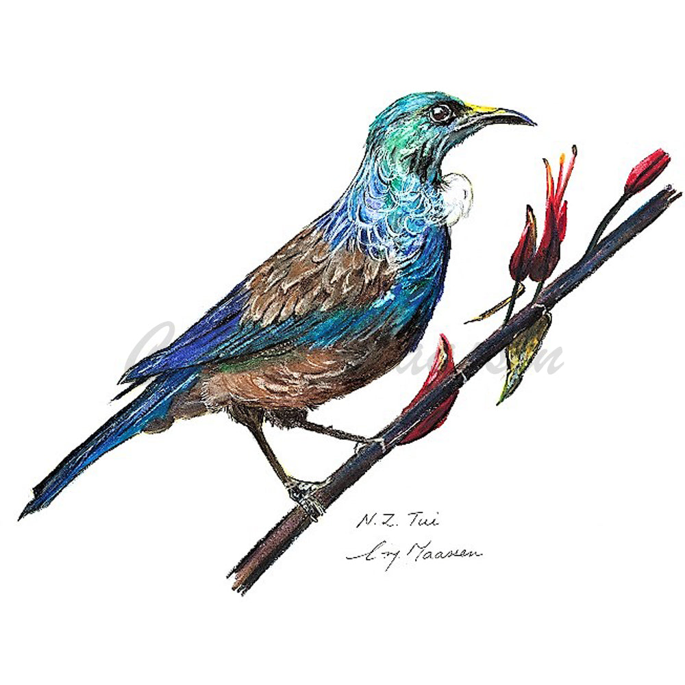 Tui Print by Christina Maassen