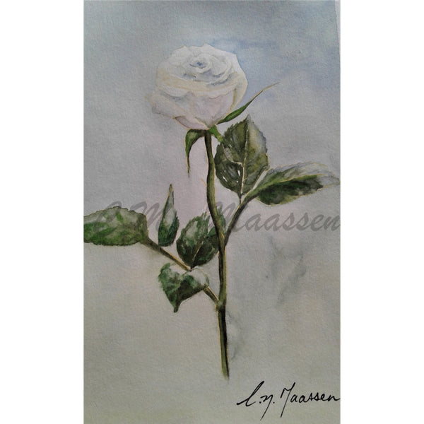 White Rose on Blue Card by Christina Maassen 